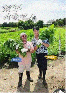 影视大全下饭综艺栏目入口图